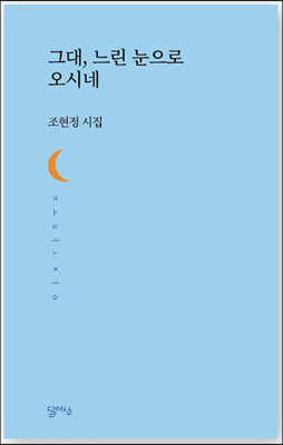 그대, 느린 눈으로 오시네(달아실시선 60)