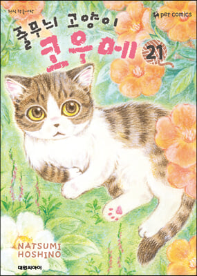 줄무늬 고양이 코우메 21 