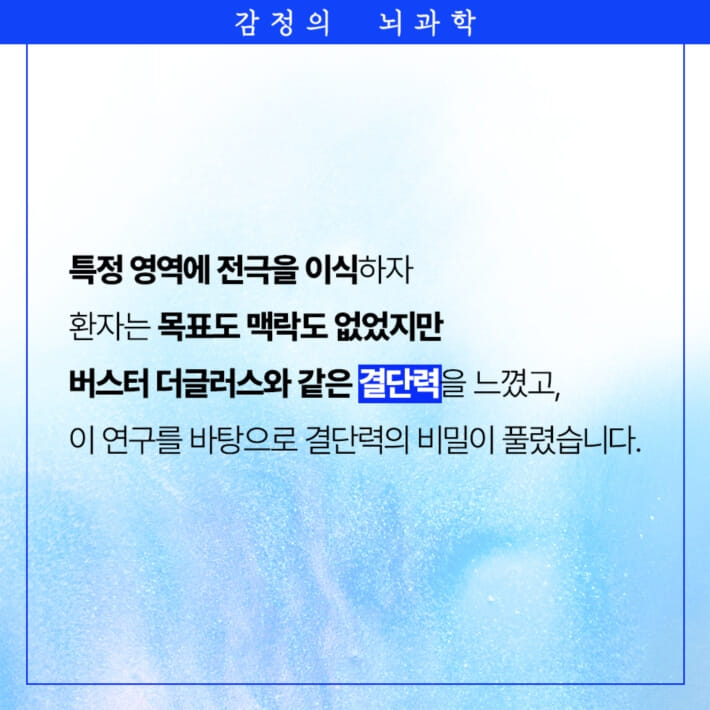 카드뉴스8