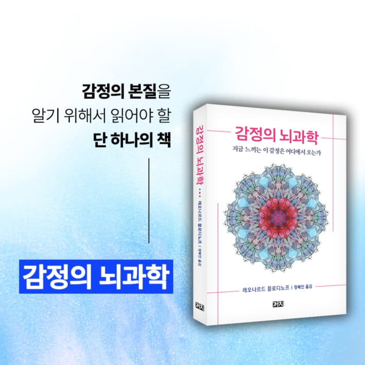 카드뉴스11
