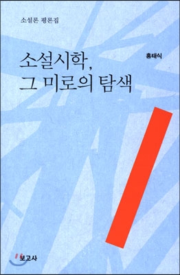 소설시학, 그 미로의 탐색