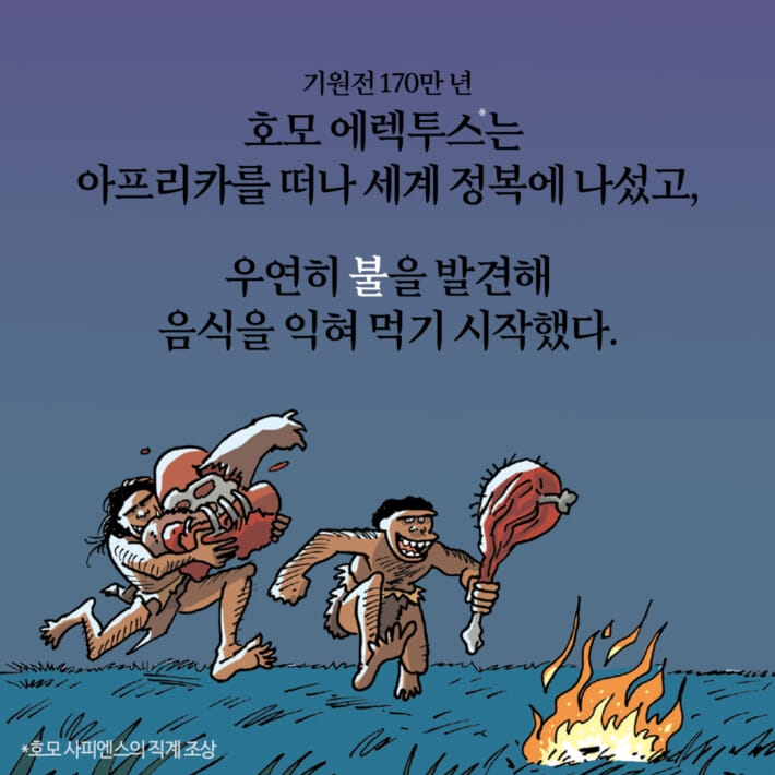 카드뉴스3