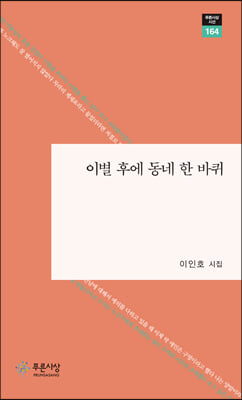 이별 후에 동네 한 바퀴(푸른사상 시선 164)