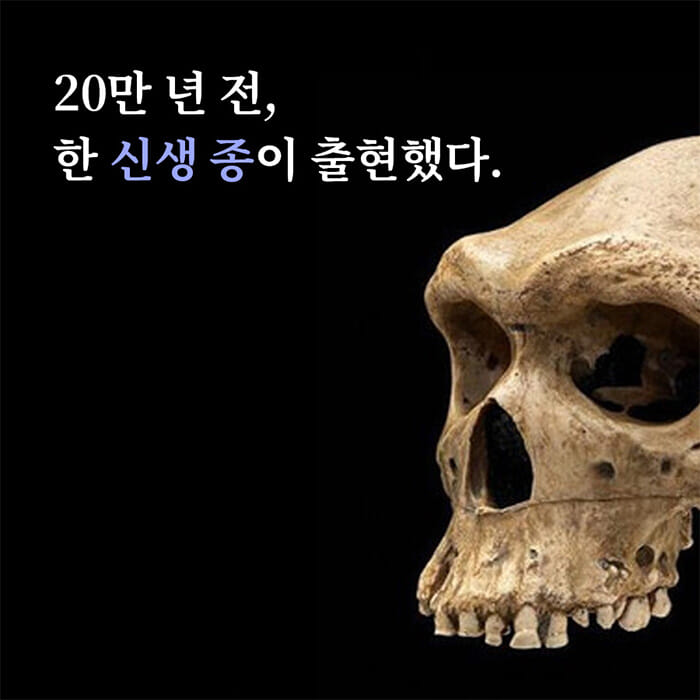 카드뉴스1