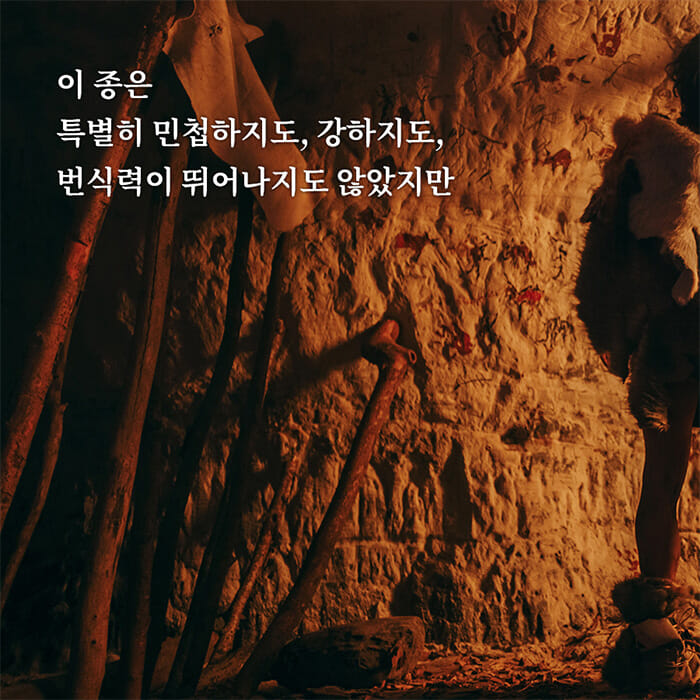 카드뉴스2
