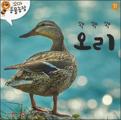 꽥꽥꽥 오리 (세이펜 적용)