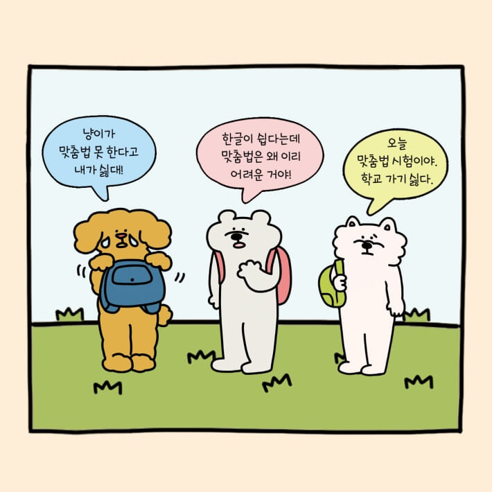 카드뉴스2