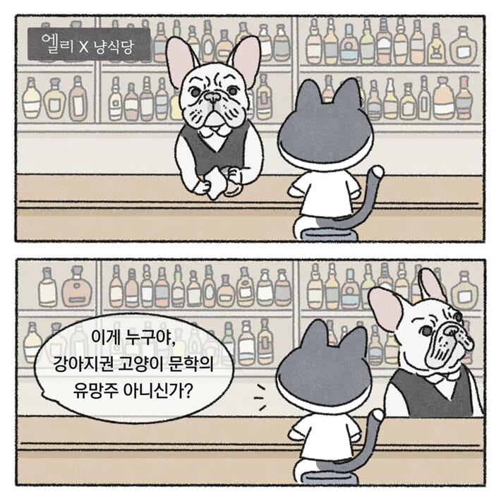 카드뉴스1