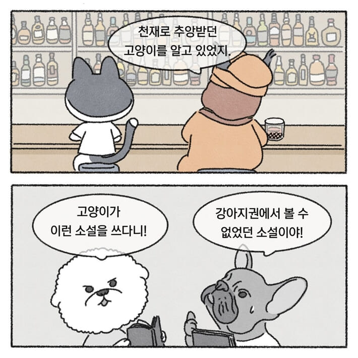 카드뉴스6