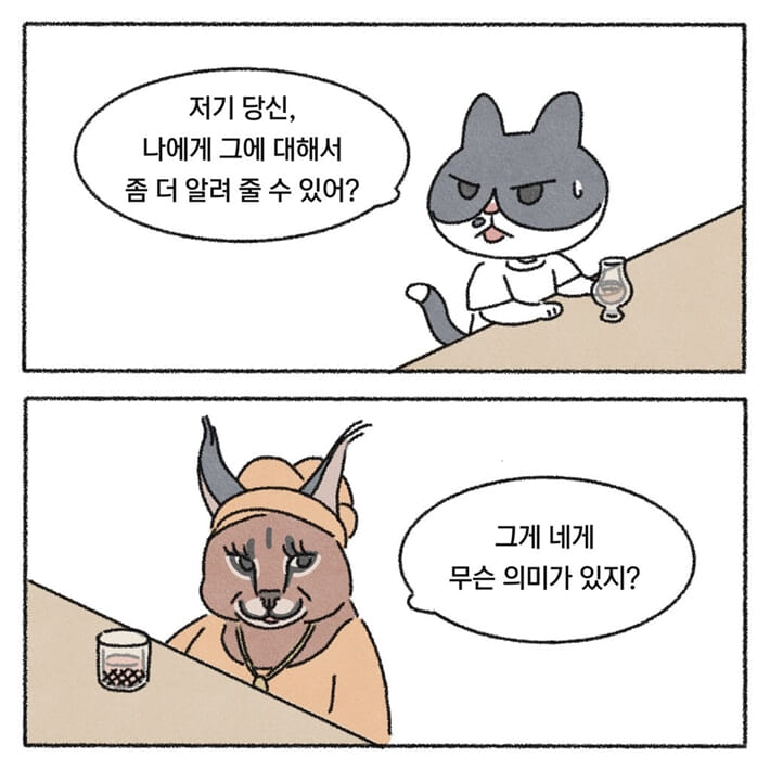 카드뉴스8