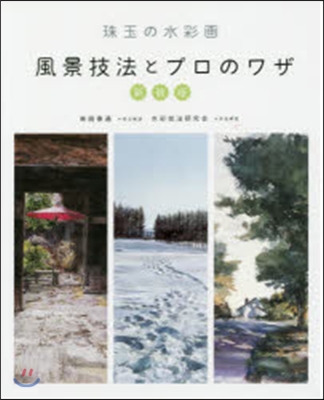 新裝版 珠玉の水彩畵風景技法とプロのワザ