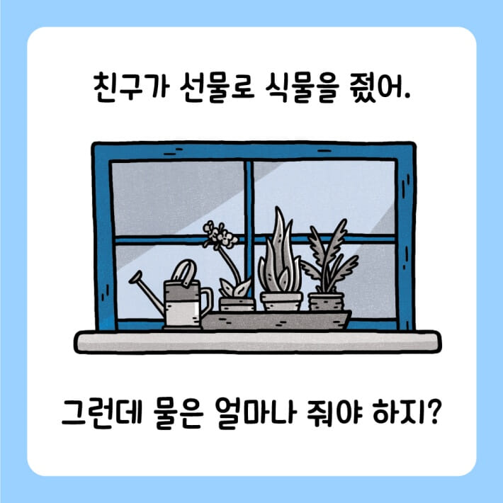 카드뉴스5