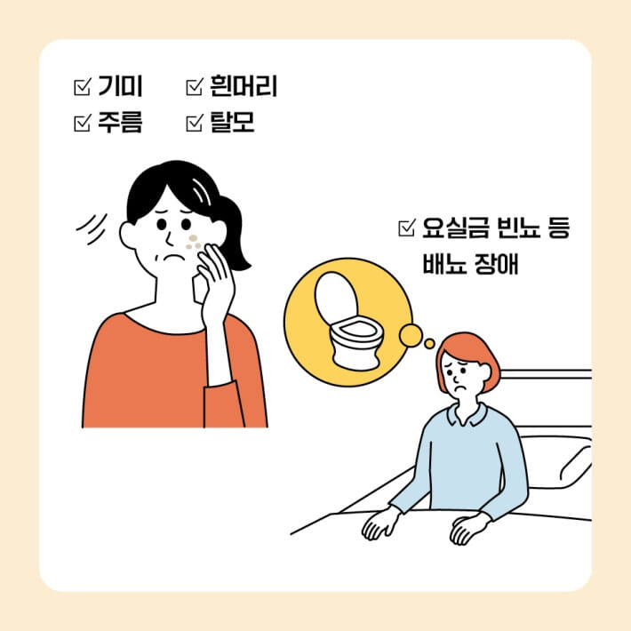 카드뉴스