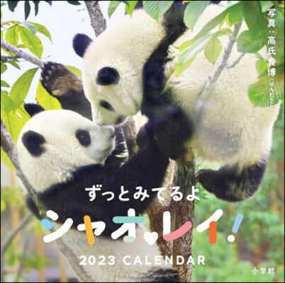 ずっとみてるよシャオ レイ! 2023CALENDAR