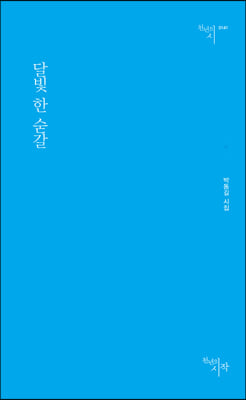 달빛 한 숟갈(천년의시 141)