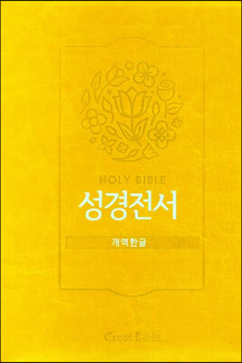 성경전서 (개역한글/62HC/지퍼식/머스타드)