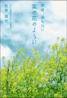 原爆,淚を力に 菜の花のように