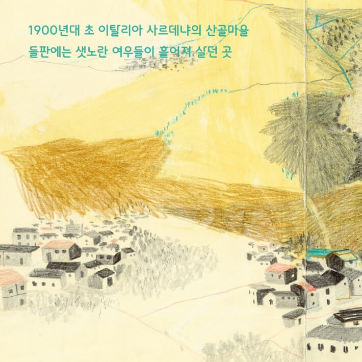 카드뉴스2