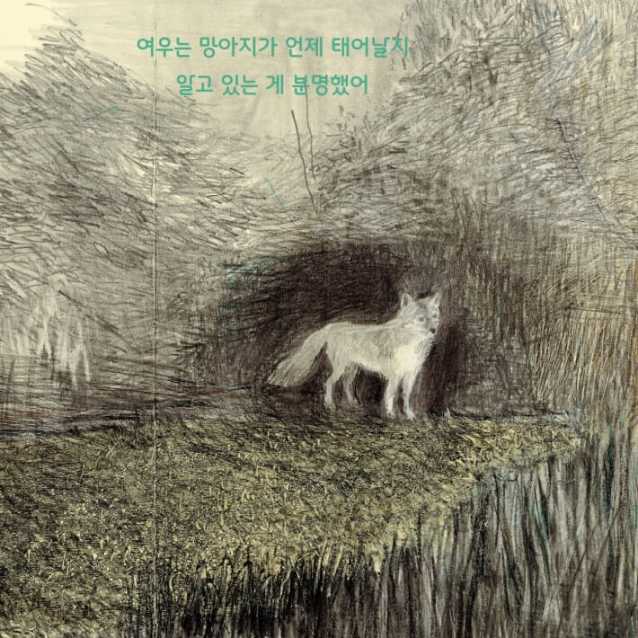 카드뉴스3