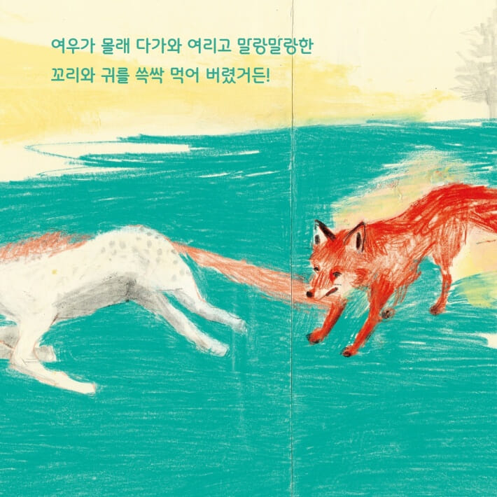 카드뉴스5