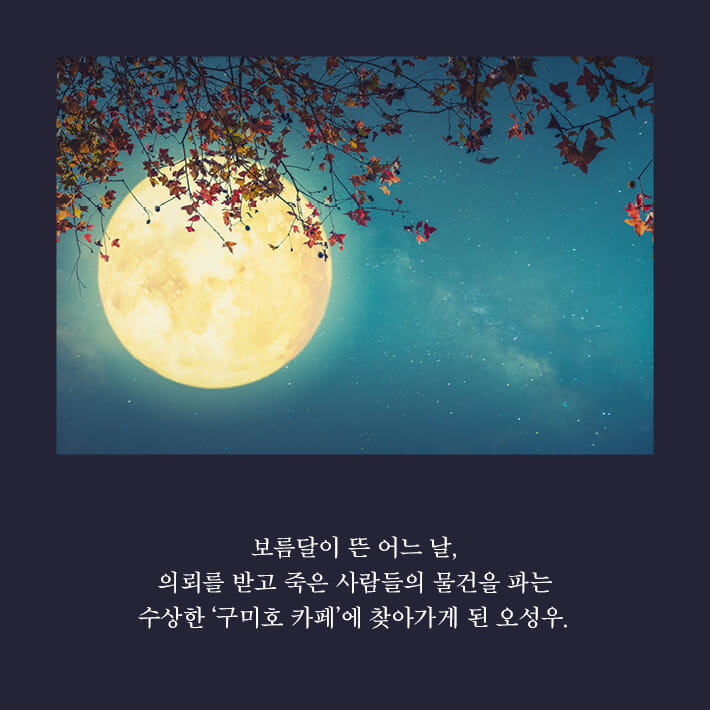카드뉴스2