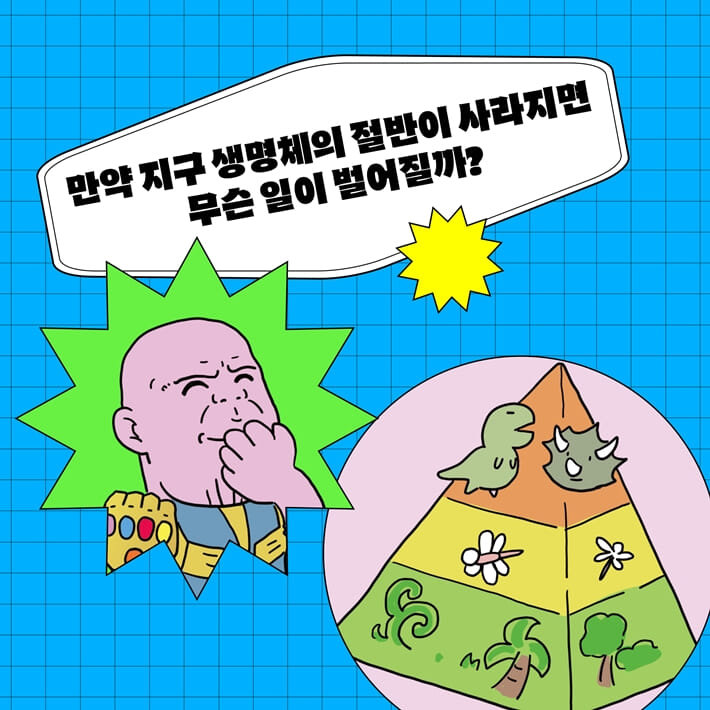 카드뉴스4