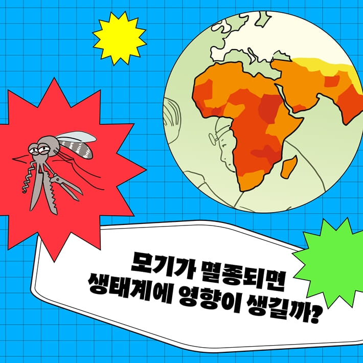 카드뉴스5