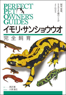 イモリ.サンショウウオ完全飼育