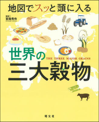 地圖でスッと頭に入る世界の三大穀物