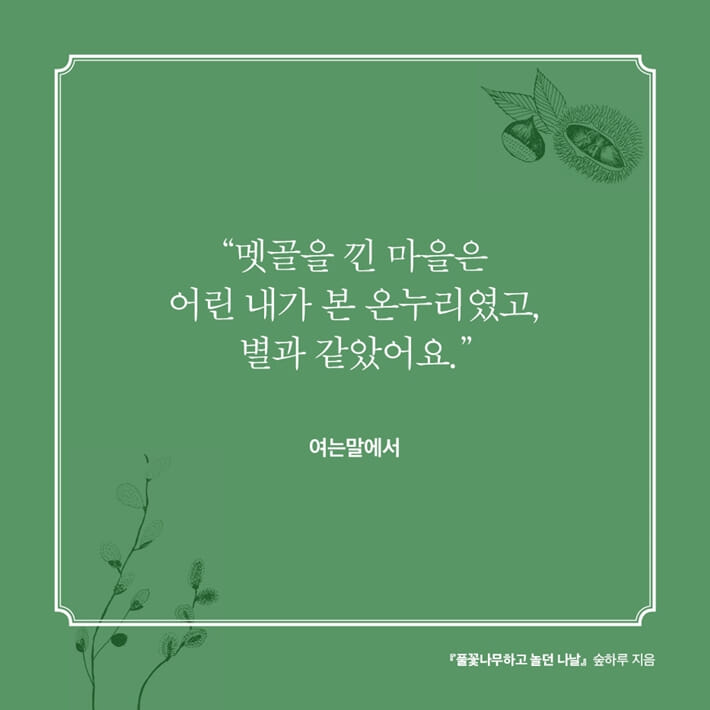 풀꽃나무하고 놀던 나날 - 예스24