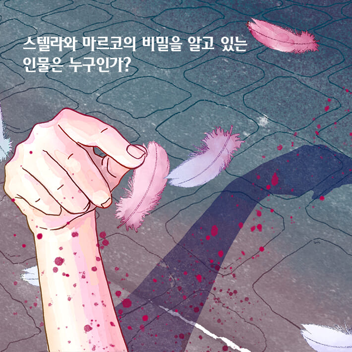카드뉴스13
