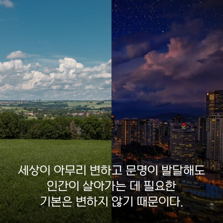 카드뉴스4