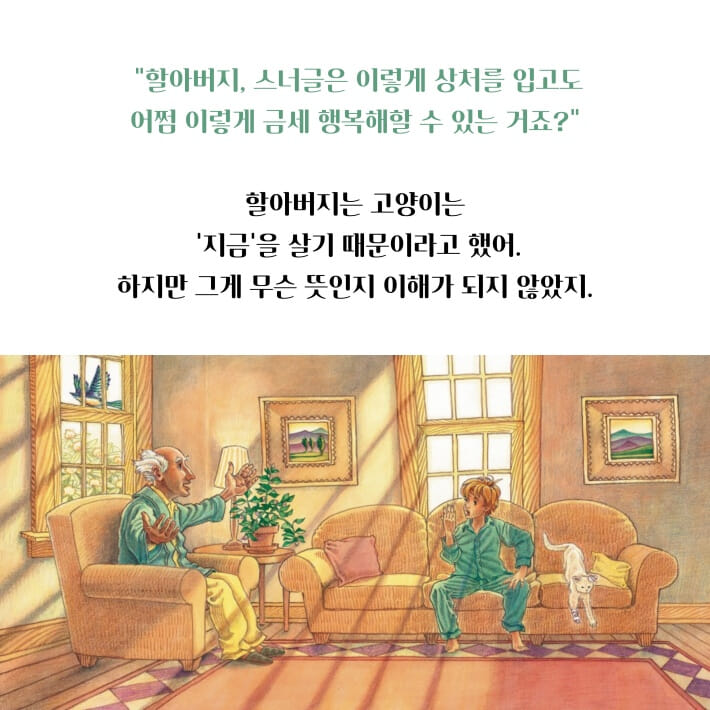 카드뉴스8