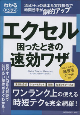 わかるハンディExcel 困ったときの速?ワザ 