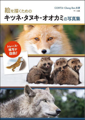 繪を描くためのキツネ.タヌキ.オオカミの寫眞集