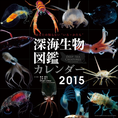 深海生物圖鑑 2015年カレンダ-