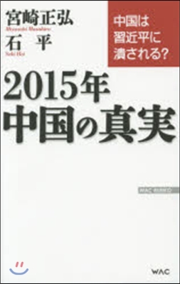 2015年中國の眞實