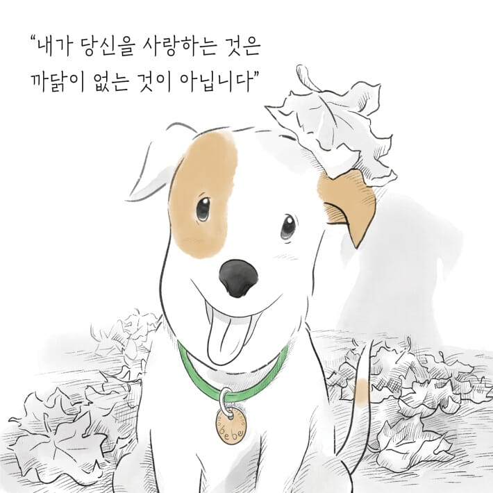 카드뉴스1