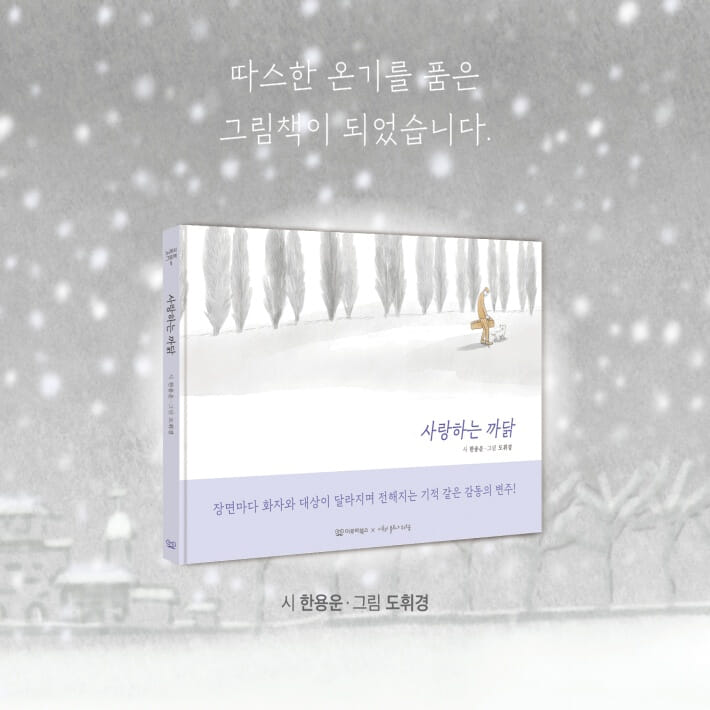 카드뉴스3