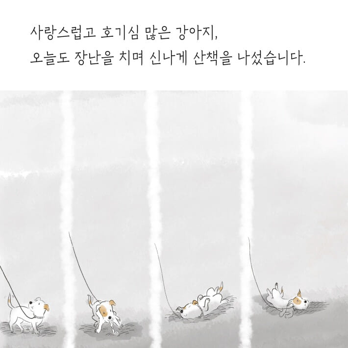 카드뉴스5