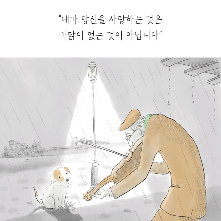 카드뉴스8