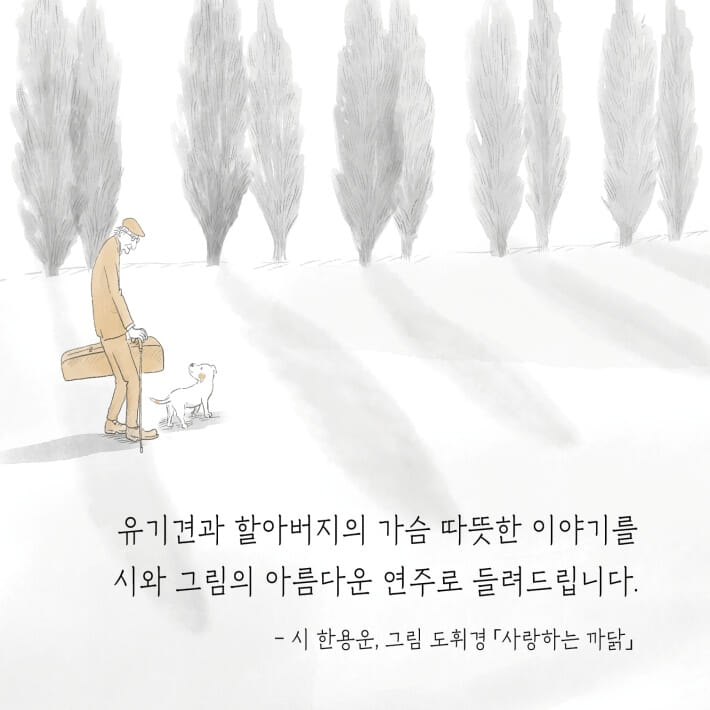카드뉴스10