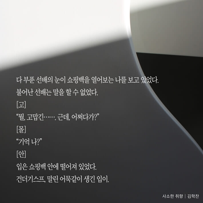 카드뉴스5