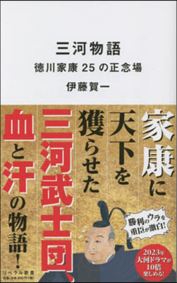 三河物語 德川家康25の正念場