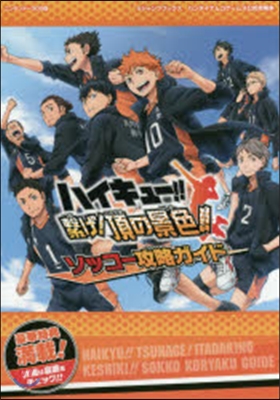 ハイキュ-!! 繫げ! 頂の景色!! N3DS版 ソッコ-攻略ガイド バンダイナムコゲ-ムス公式攻略本