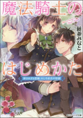 魔法騎士のはじめかた 許されざる戀路,む