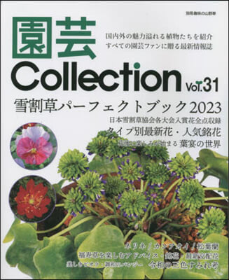 園芸Collection Vol.31