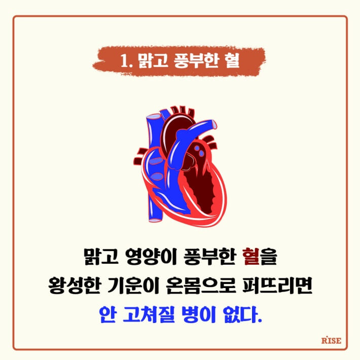 카드뉴스3
