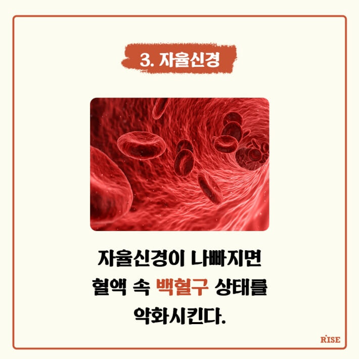 카드뉴스5