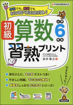 初級算數習熟プリント 小學6年生